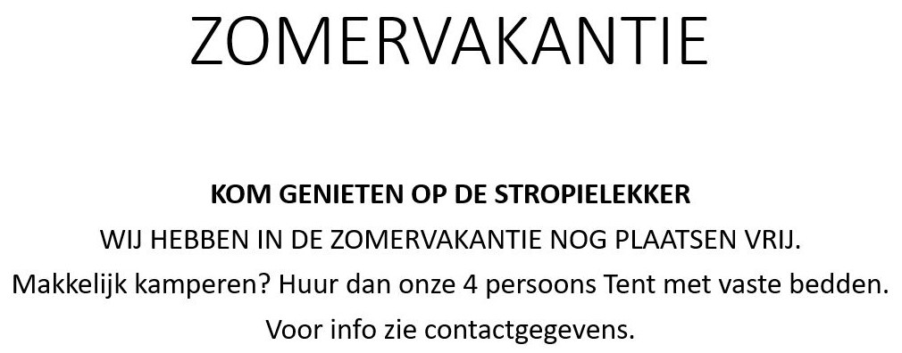zomervakantie 2025